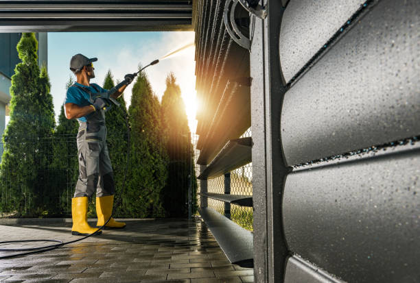 Best Driveway Pressure Washing  in Los Lunas, NM